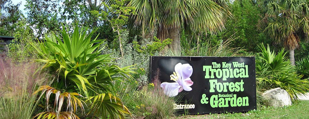 KW Botanical Garden & Tropical Forest, Stock Island