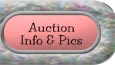 Auction Info and Pics