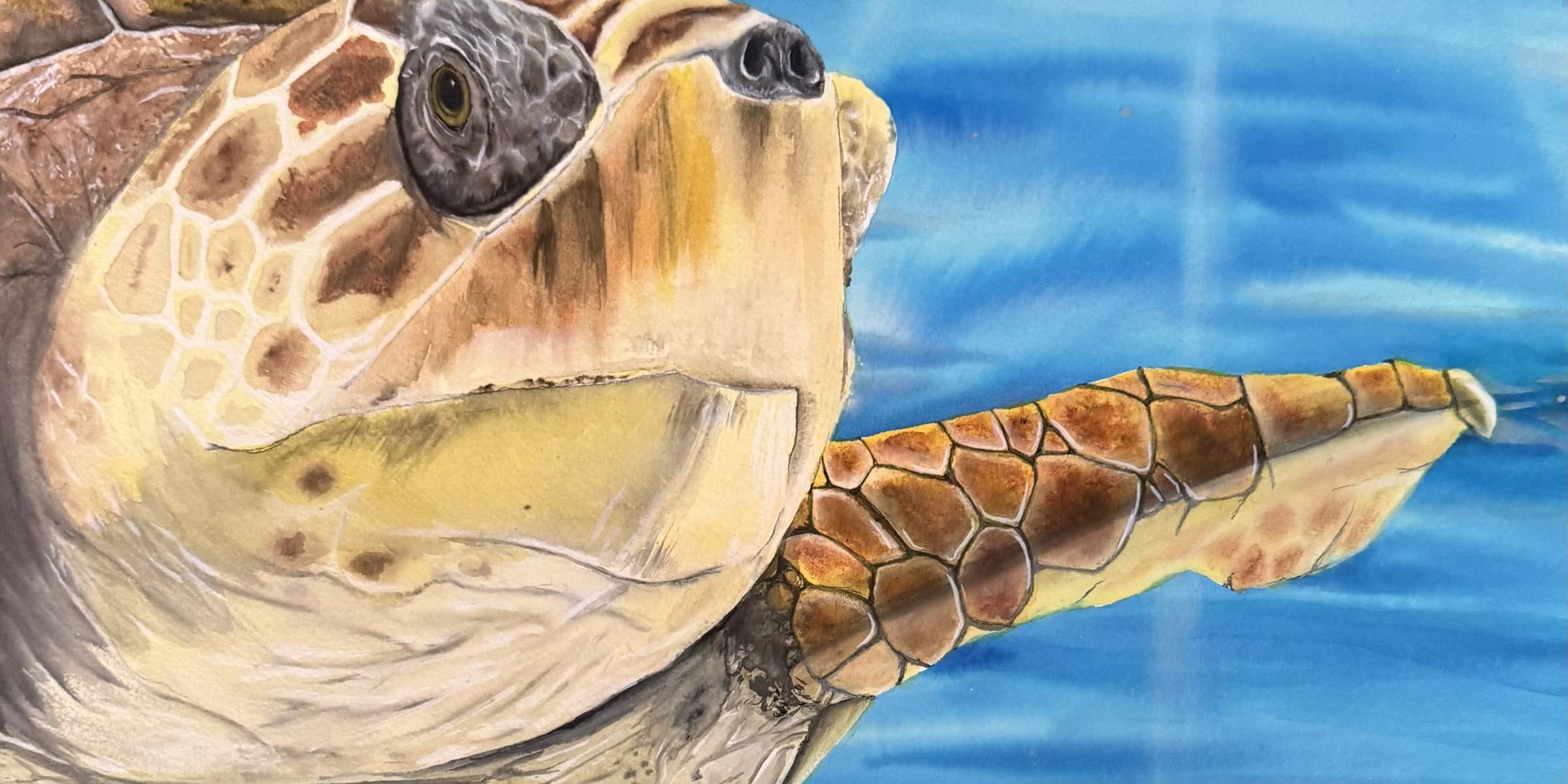 Painting of a loggerhead sea turtle swimming underwater amid sunrays.