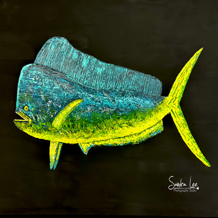 Art Studio by Sandra Lee