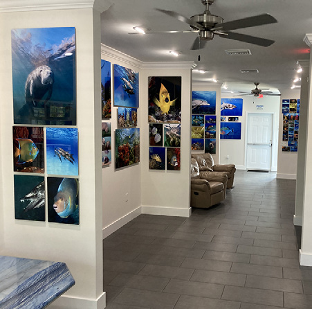 Underwater Photography Gallery