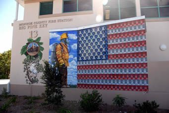Michael Kirby, Murals