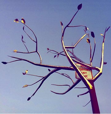 Nature Eternal, by Sheila Berger
