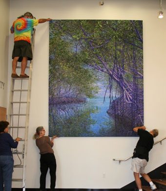 Mangrove Canopy, by John David Hawver