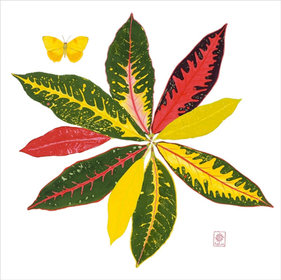Croton Cacophony painting