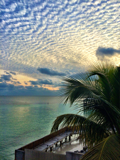 Mackerel Skies painting