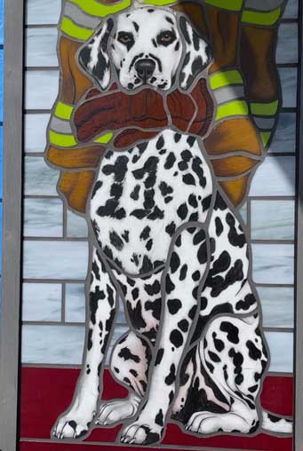 detail of a dalmation