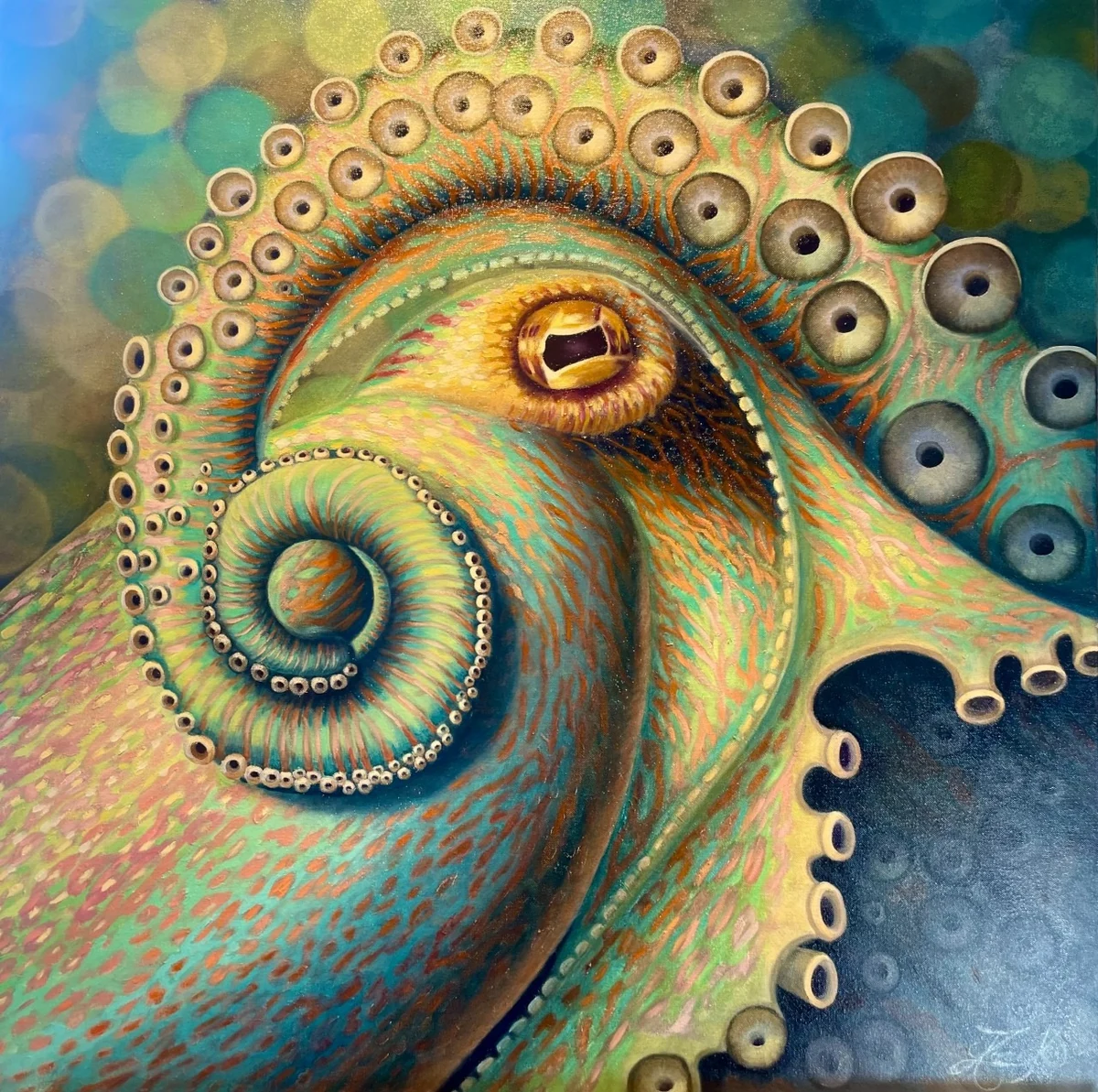 Polypus, oil painting of a coiled octopus arm and eye in green, turquoise, amber and coral, 31 by 31 inches, Collection KeyWest