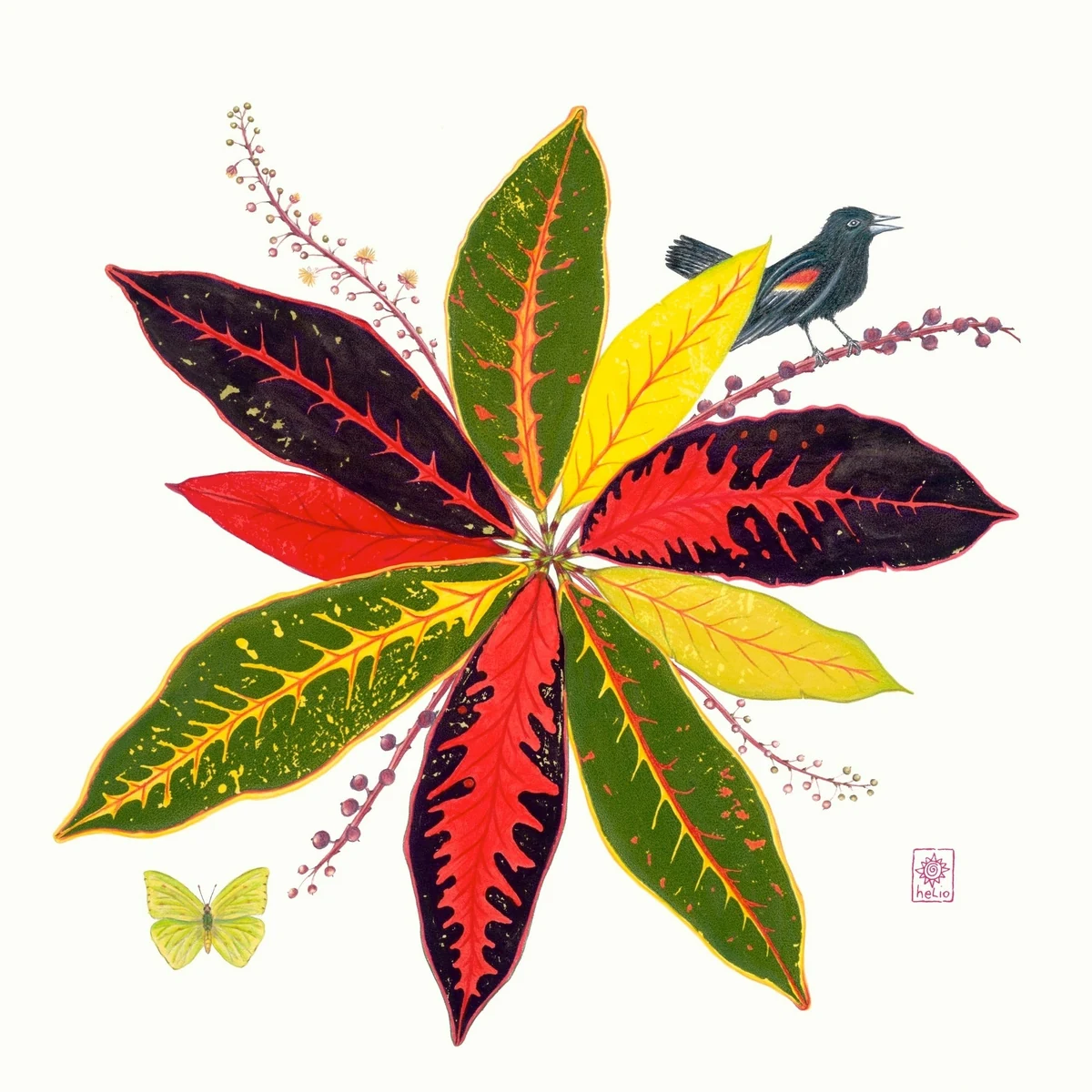 "Croton Cacophony" - a rosette of vivid red, yellow and dark green croton leaves nature printed from her Key West garden, with a red-winged blackbird on a berry stem and a sulphur 