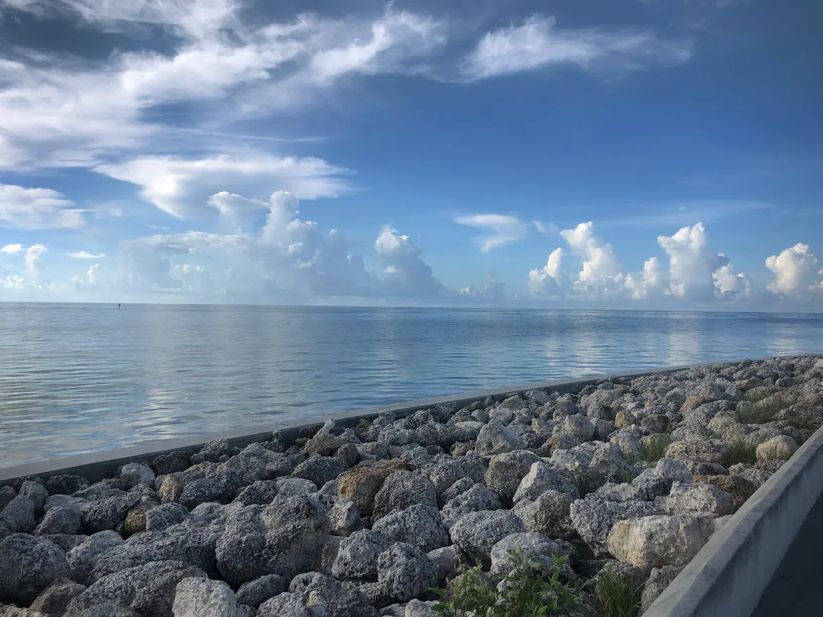 Image submitted by Erika Heffernan