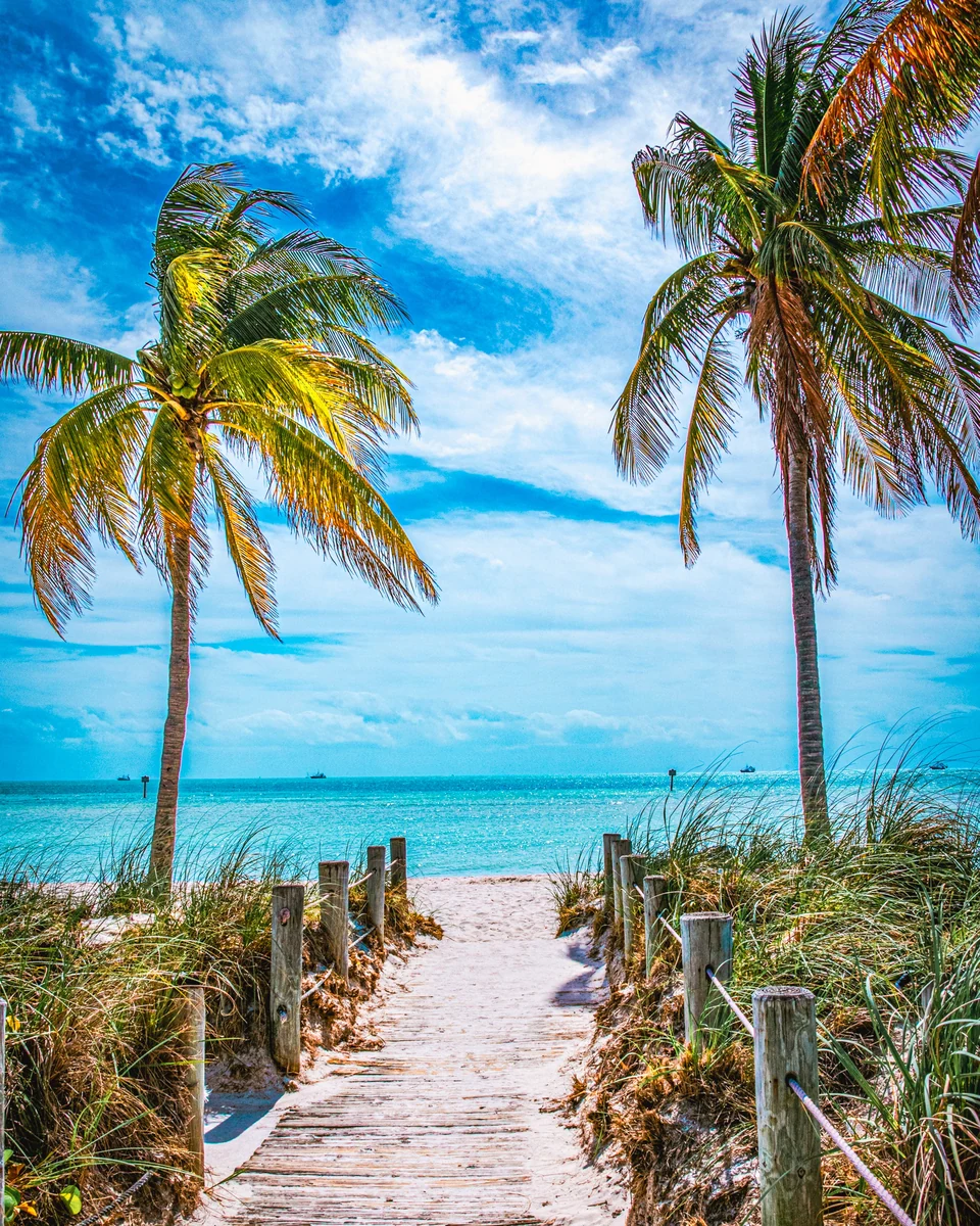 Portal to Paradise: a sandy boardwalk between two leaning coconut palms opening onto turquoise water under a blue sky