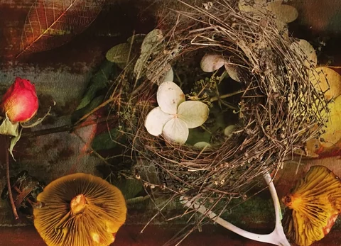 Image submitted by Kathryn van Aernum