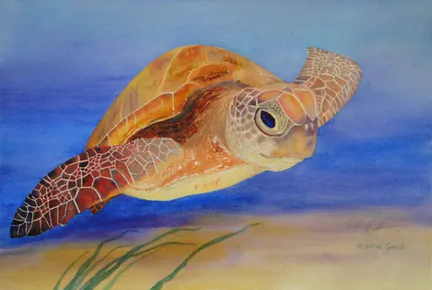 Image submitted by M. Ann Lynch