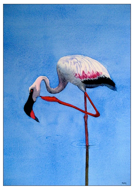 Flamingo in Paradise, 18 x 24 in watercolor: a flamingo bending to feed, reflected in still blue water
