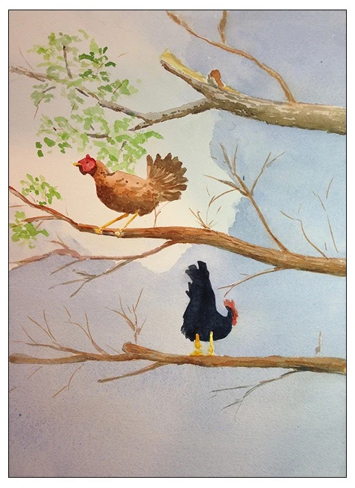 After the Hurricane, 16 x 20 in watercolor: two Key West chickens roosting in a storm-stripped tree