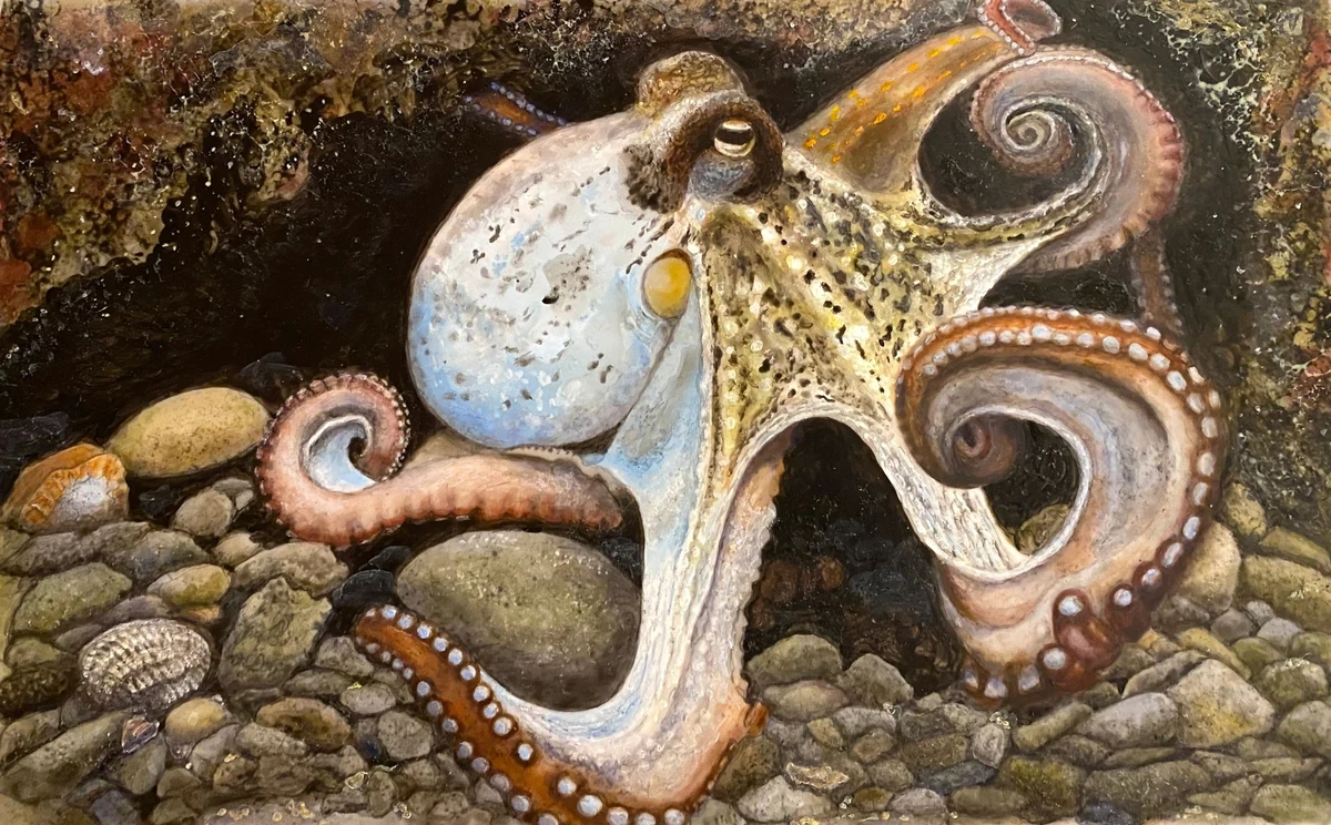 Painting of an octopus among rocks and shells on the sea floor