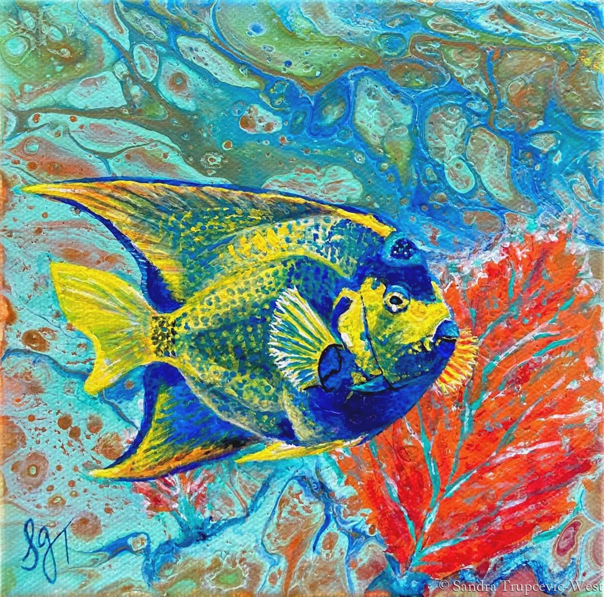 Angels Come In All Forms, a blue and yellow Bermuda blue angelfish beside a red sea fan