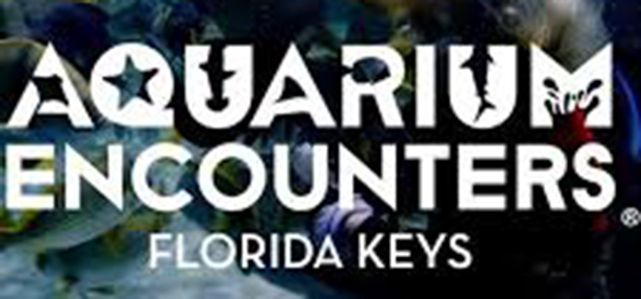 Florida%20Keys%20Aquarium%20Encounters.jpeg