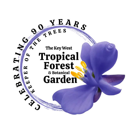 Tropical%20Forest%202026%20only.jpg