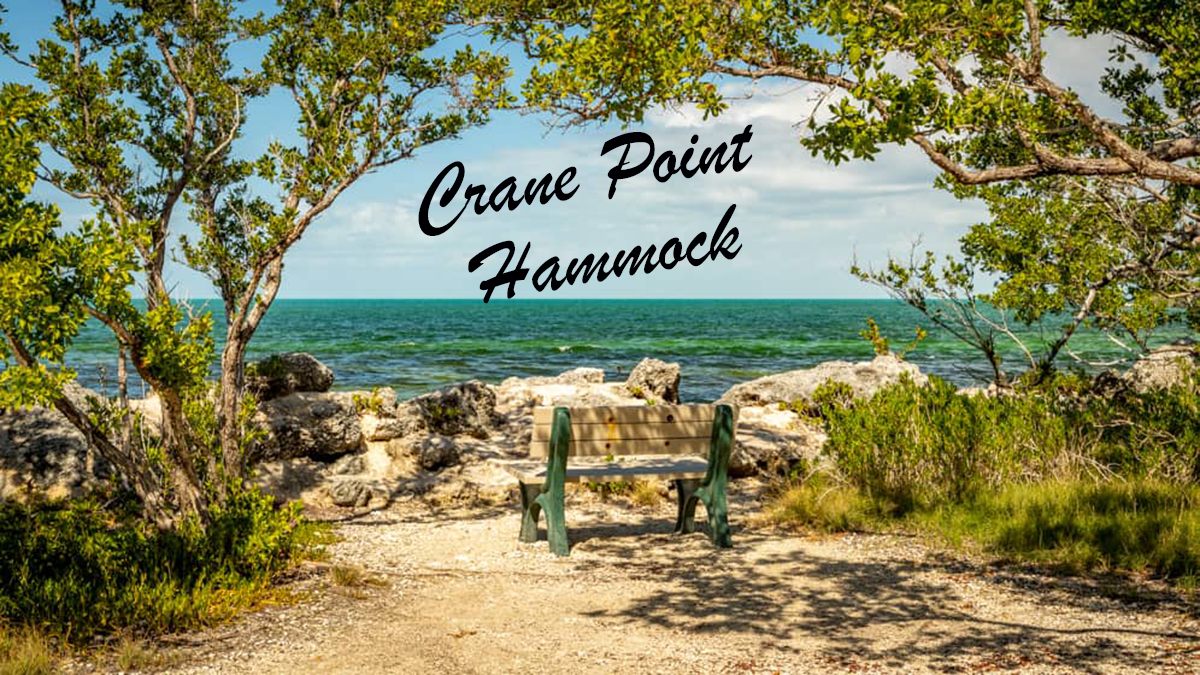 florida-keys-crane-point-hammock-usa%20copy.jpg